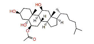 6b-Acetoxycholestane-3b,5a,11b-triol
